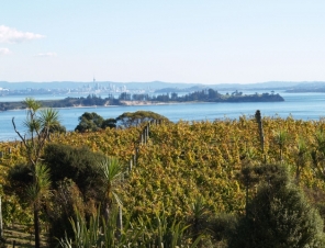 Mudbrick views